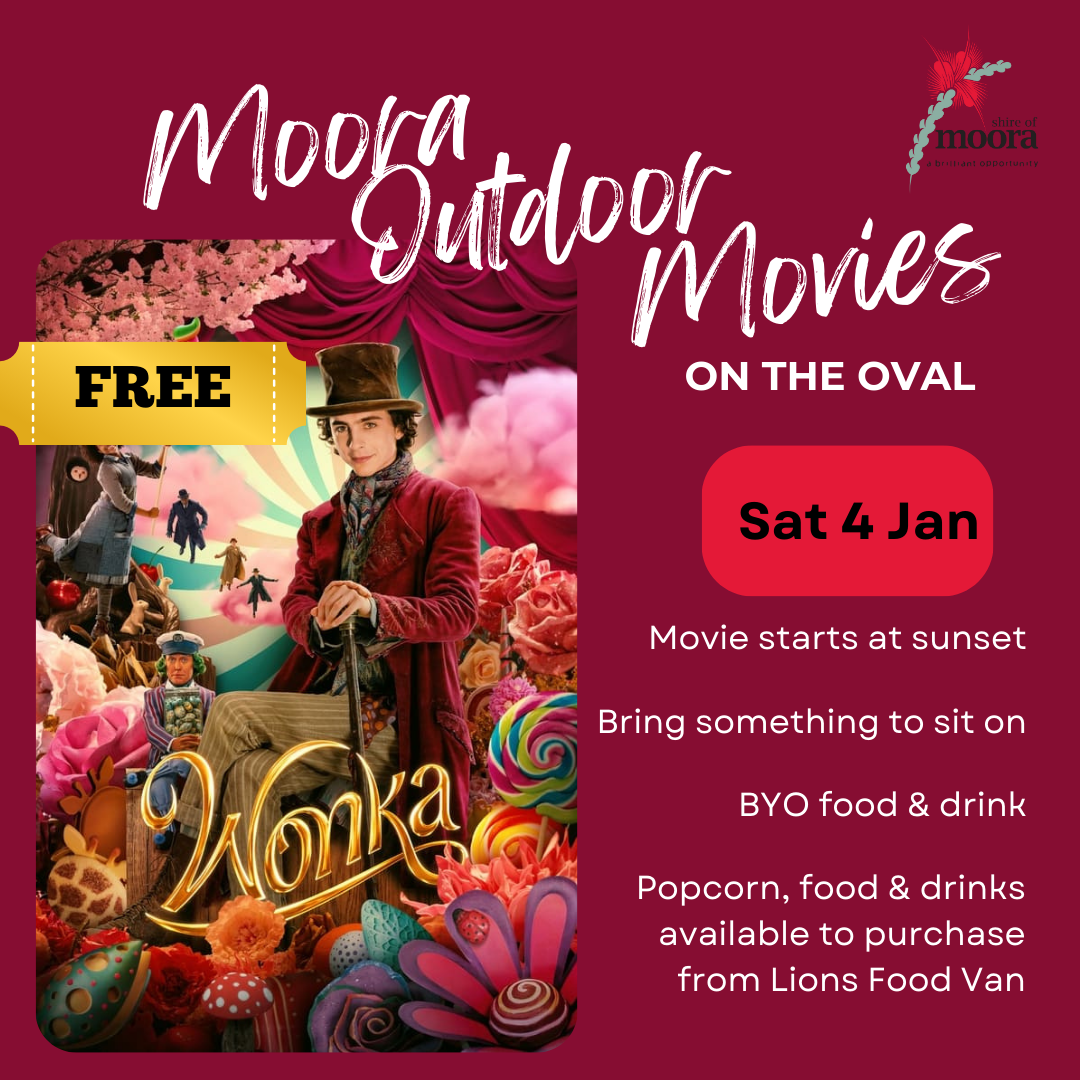 Moora Outdoor Movie #1: Wonka