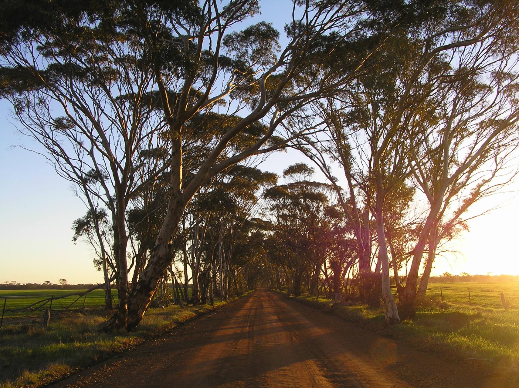 Gravel Roads Open - Please Use Caution