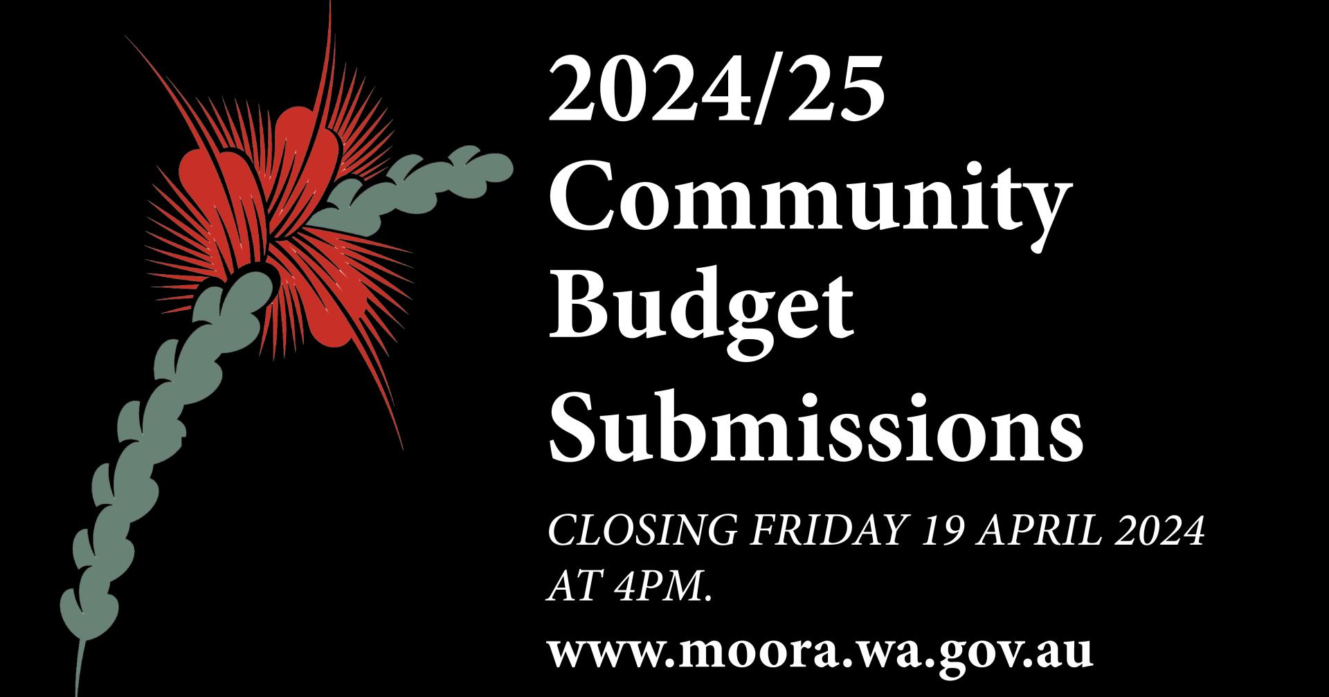 Community Budget Submissions 2024/2025